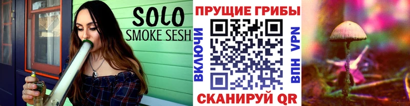 Галлюциногенные грибы мицелий  наркошоп  Алапаевск 